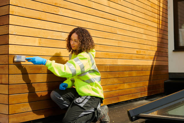 Best Siding Painting and Refinishing  in Novato, CA